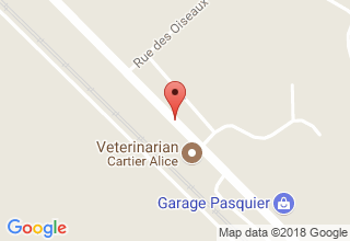 Plan de localisation de Cartier Alice