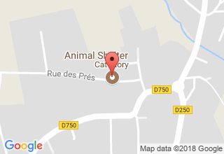 Plan de localisation de Cat'Story