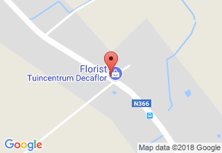 Plan de localisation de Traduction Consulting Formation (TCF)